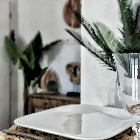 N1-terrasse - Barbacane - Pieds Cite - Clime Mobile Apartment Carcassonne