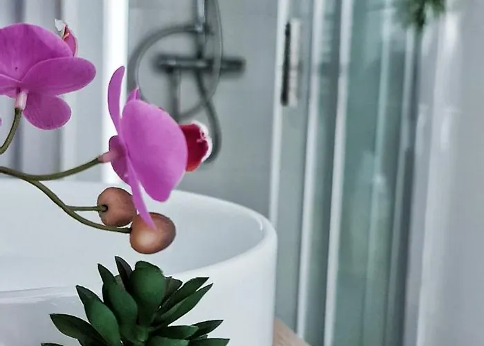 N1-terrasse - Barbacane - Pieds Cite - Clime Mobile