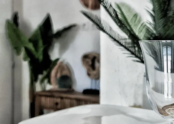 N1-terrasse - Barbacane - Pieds Cite - Clime Mobile Apartment Carcassonne